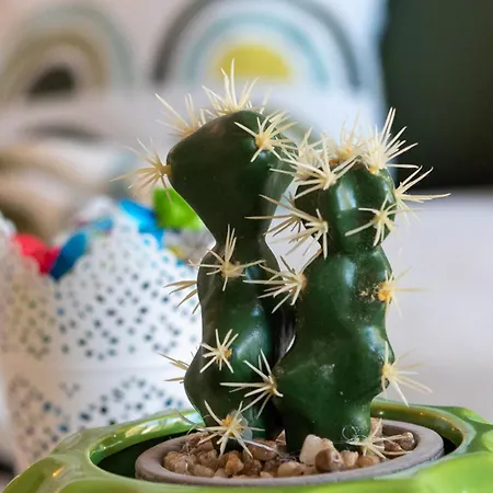 Sofia Playa Bambú Nature