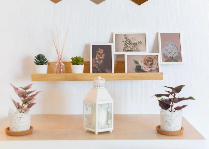 Sofia Playa Bambu Nature *