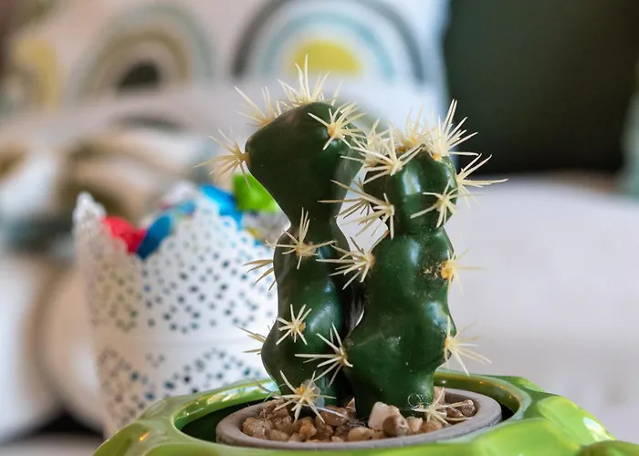 Sofia Playa Bambu Nature