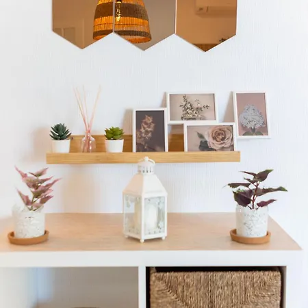 Sofia Playa Bambu Nature *